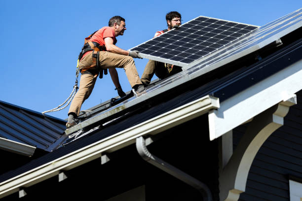 Best Roof Moss and Algae Removal  in Mledgevle, IL